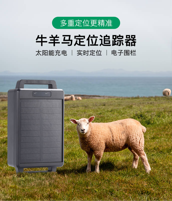 牛羊定位器